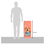 BETA Light Dog 14kg. Buy Online at VetShop